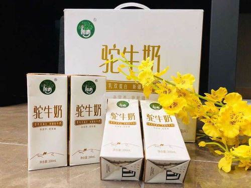 新疆朗青乳品 生物科技賦能民族乳業(yè)的創(chuàng)新之路